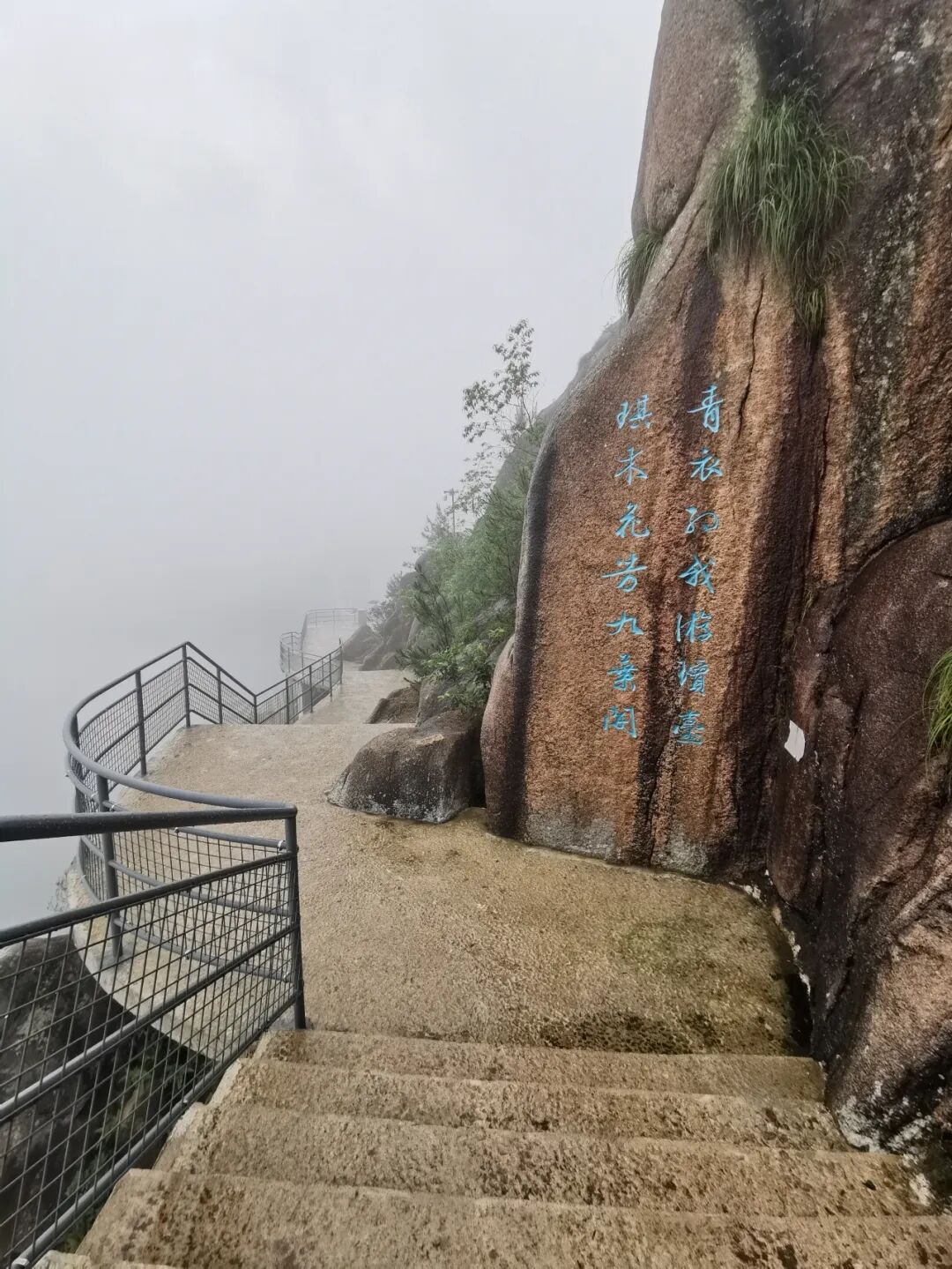 555.jpg